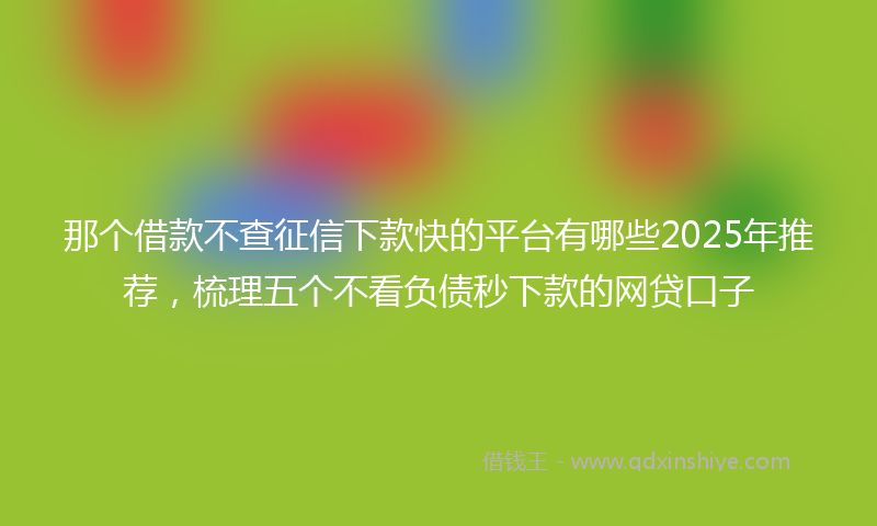 那个借款不查征信下款快的平台有哪些2025年推荐，梳理五个不看负债秒下款的网贷口子