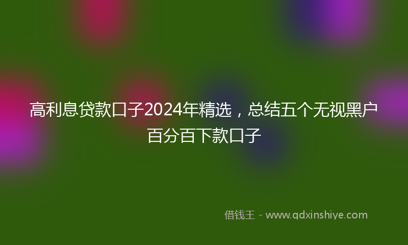高利息贷款口子2024年精选，总结五个无视黑户百分百下款口子
