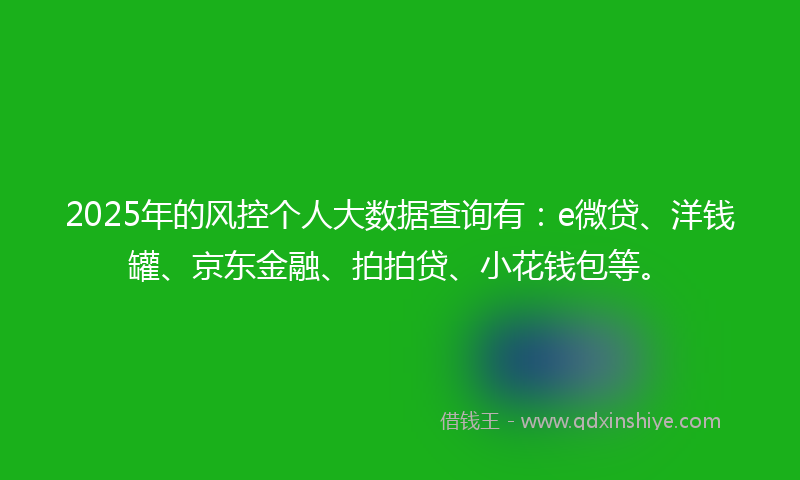 2025年的风控个人大数据查询有：e微贷、洋钱罐、京东金融、拍拍贷、小花钱包等。