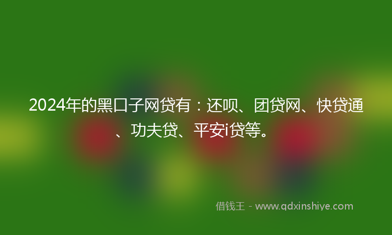 2024年的黑口子网贷有：还呗、团贷网、快贷通、功夫贷、平安i贷等。