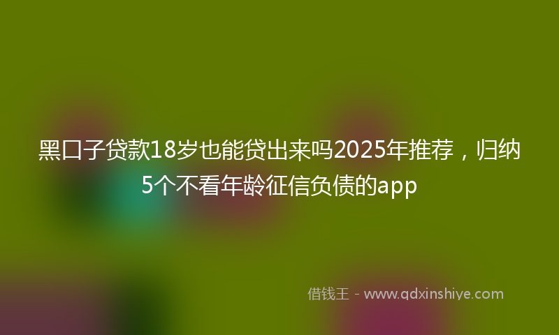 黑口子贷款18岁也能贷出来吗2025年推荐，归纳5个不看年龄征信负债的app