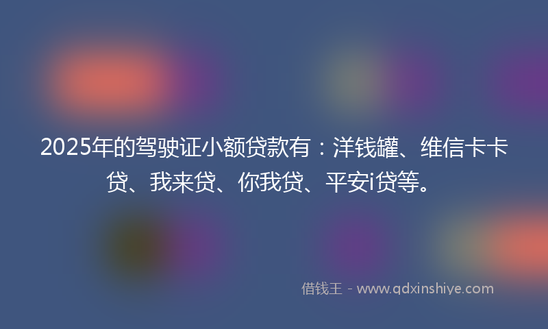 2025年的驾驶证小额贷款有：洋钱罐、维信卡卡贷、我来贷、你我贷、平安i贷等。