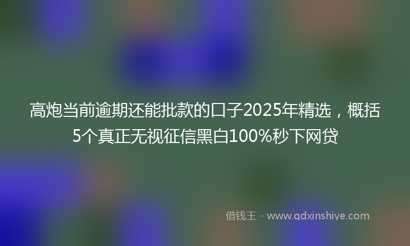 高炮当前逾期还能批款的口子2025年精选，概括5个真正无视征信黑白100%秒下网贷