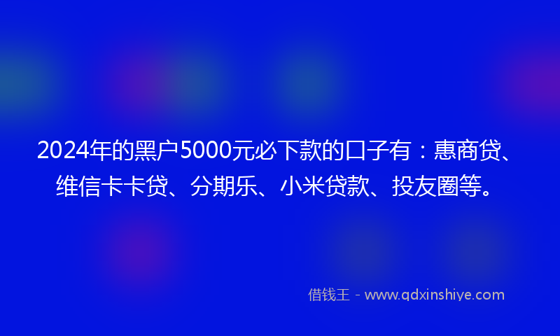 2024年的黑户5000元必下款的口子有：惠商贷、维信卡卡贷、分期乐、小米贷款、投友圈等。