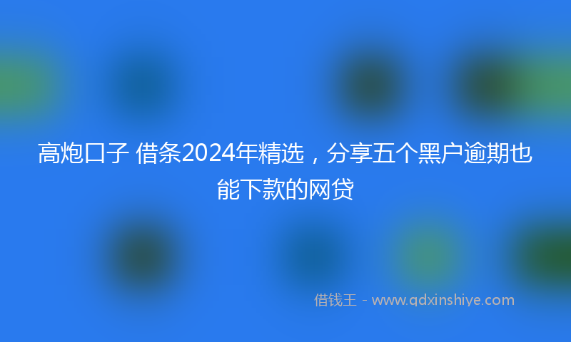 高炮口子 借条2024年精选，分享五个黑户逾期也能下款的网贷