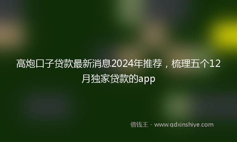 高炮口子贷款最新消息2024年推荐，梳理五个12月独家贷款的app
