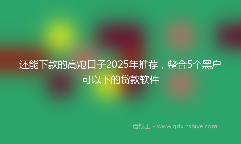 还能下款的高炮口子2025年推荐，整合5个黑户可以下的贷款软件
