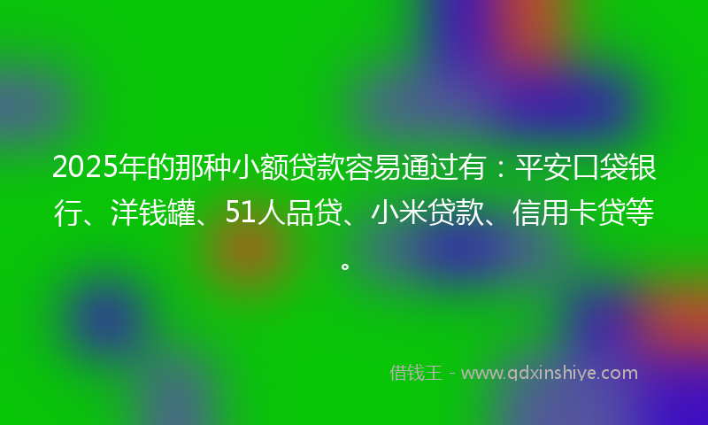 2025年的那种小额贷款容易通过有：平安口袋银行、洋钱罐、51人品贷、小米贷款、信用卡贷等。