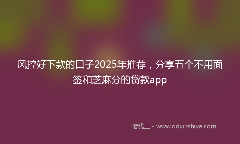 风控好下款的口子2025年推荐，分享五个不用面签和芝麻分的贷款app