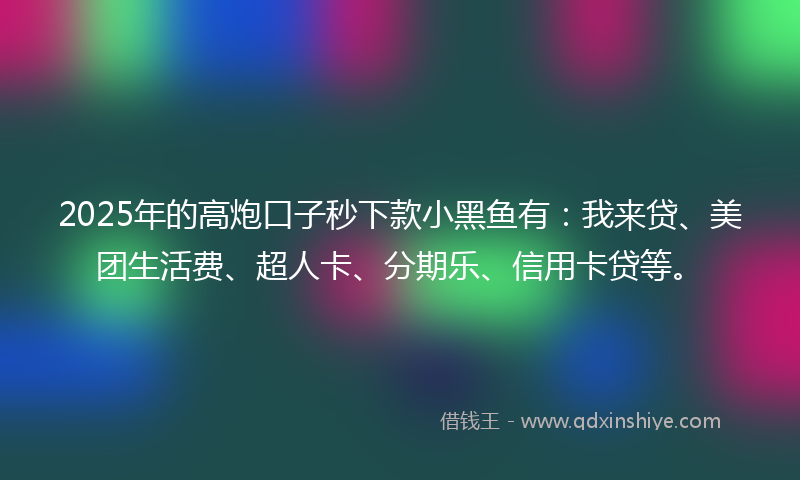 2025年的高炮口子秒下款小黑鱼有：我来贷、美团生活费、超人卡、分期乐、信用卡贷等。