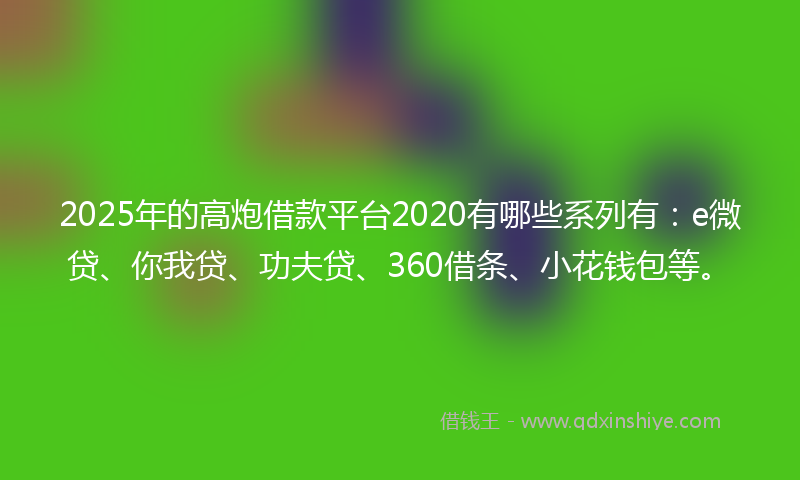2025年的高炮借款平台2020有哪些系列有：e微贷、你我贷、功夫贷、360借条、小花钱包等。