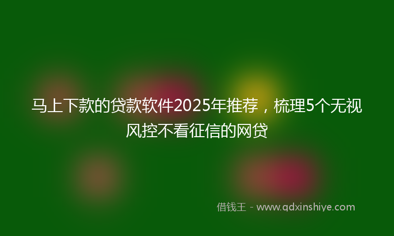 马上下款的贷款软件2025年推荐，梳理5个无视风控不看征信的网贷