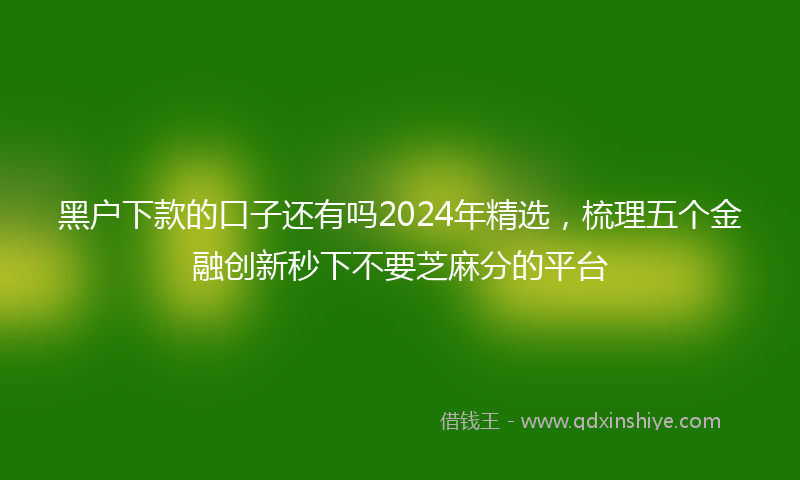 黑户下款的口子还有吗2024年精选，梳理五个金融创新秒下不要芝麻分的平台