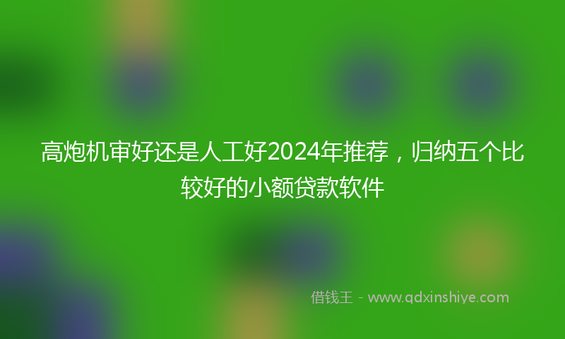 高炮机审好还是人工好2024年推荐，归纳五个比较好的小额贷款软件