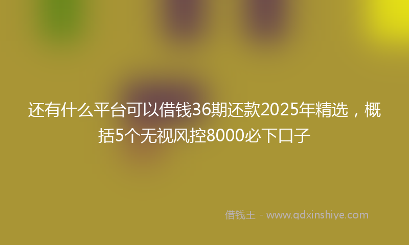 还有什么平台可以借钱36期还款2025年精选，概括5个无视风控8000必下口子