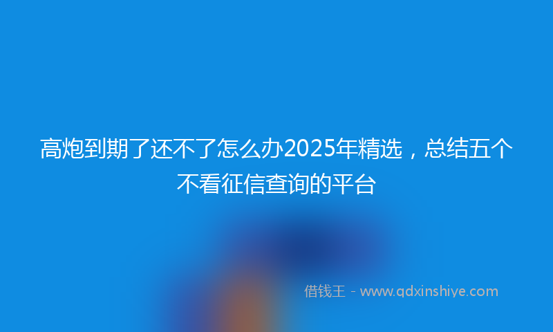 高炮到期了还不了怎么办2025年精选，总结五个不看征信查询的平台