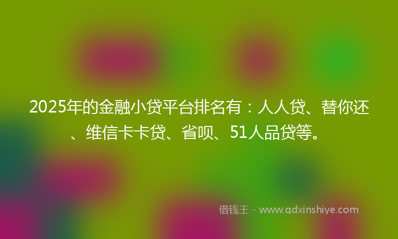 2025年的金融小贷平台排名有：人人贷、替你还、维信卡卡贷、省呗、51人品贷等。
