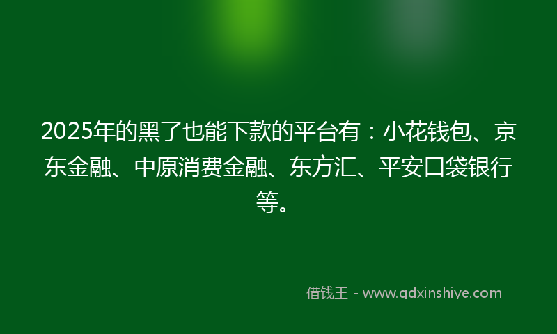 2025年的黑了也能下款的平台有：小花钱包、京东金融、中原消费金融、东方汇、平安口袋银行等。