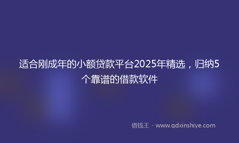 适合刚成年的小额贷款平台2025年精选，归纳5个靠谱的借款软件