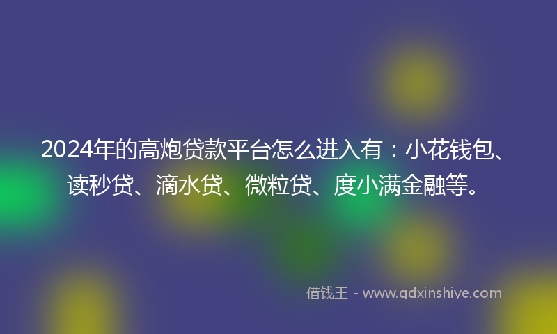 2024年的高炮贷款平台怎么进入有：小花钱包、读秒贷、滴水贷、微粒贷、度小满金融等。