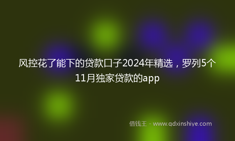 风控花了能下的贷款口子2024年精选，罗列5个11月独家贷款的app