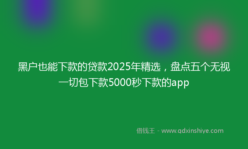黑户也能下款的贷款2025年精选，盘点五个无视一切包下款5000秒下款的app