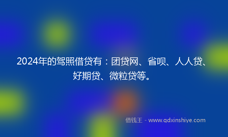 2024年的驾照借贷有：团贷网、省呗、人人贷、好期贷、微粒贷等。