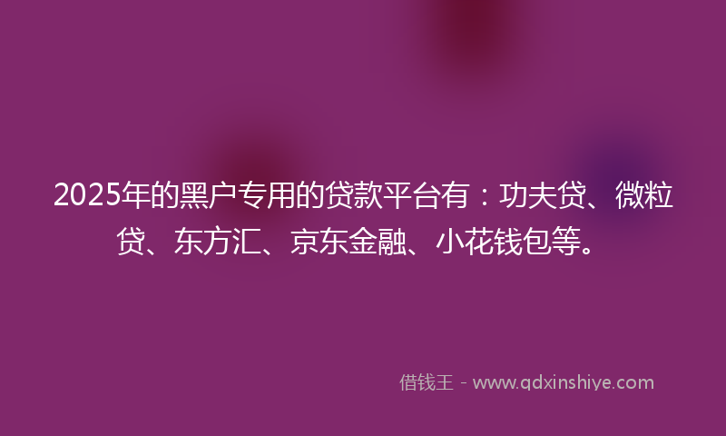 2025年的黑户专用的贷款平台有：功夫贷、微粒贷、东方汇、京东金融、小花钱包等。
