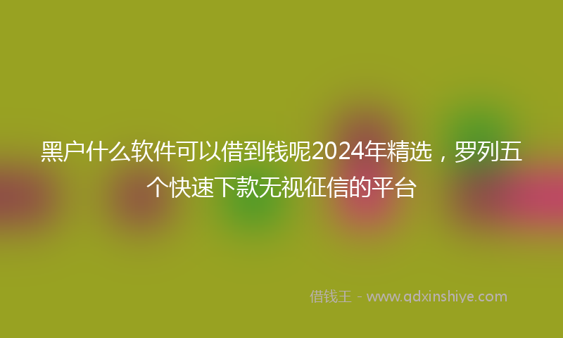 黑户什么软件可以借到钱呢2024年精选，罗列五个快速下款无视征信的平台