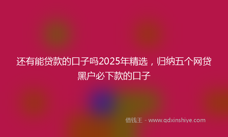 还有能贷款的口子吗2025年精选，归纳五个网贷黑户必下款的口子