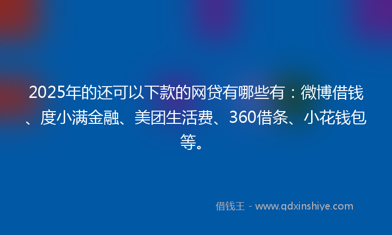 2025年的还可以下款的网贷有哪些有：微博借钱、度小满金融、美团生活费、360借条、小花钱包等。