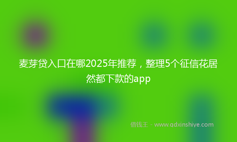 麦芽贷入口在哪2025年推荐，整理5个征信花居然都下款的app