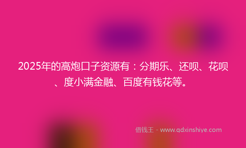 2025年的高炮口子资源有：分期乐、还呗、花呗、度小满金融、百度有钱花等。