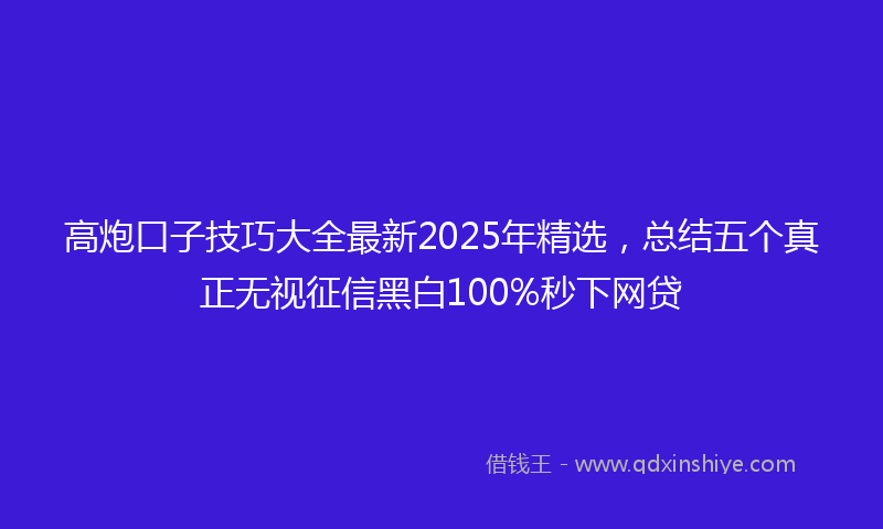 高炮口子技巧大全最新2025年精选，总结五个真正无视征信黑白100%秒下网贷