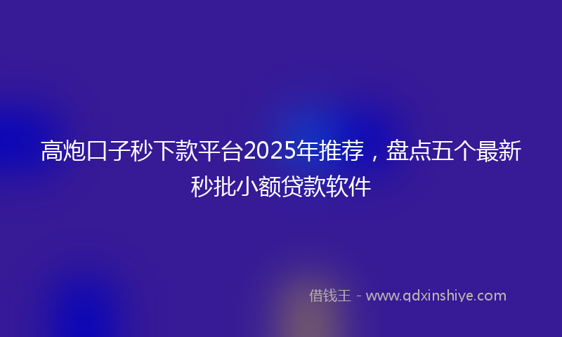 高炮口子秒下款平台2025年推荐，盘点五个最新秒批小额贷款软件