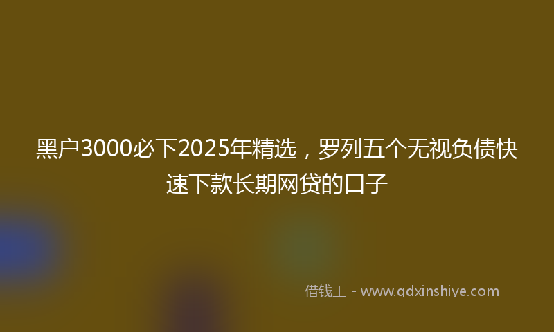黑户3000必下2025年精选，罗列五个无视负债快速下款长期网贷的口子