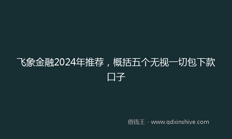 飞象金融2024年推荐，概括五个无视一切包下款口子