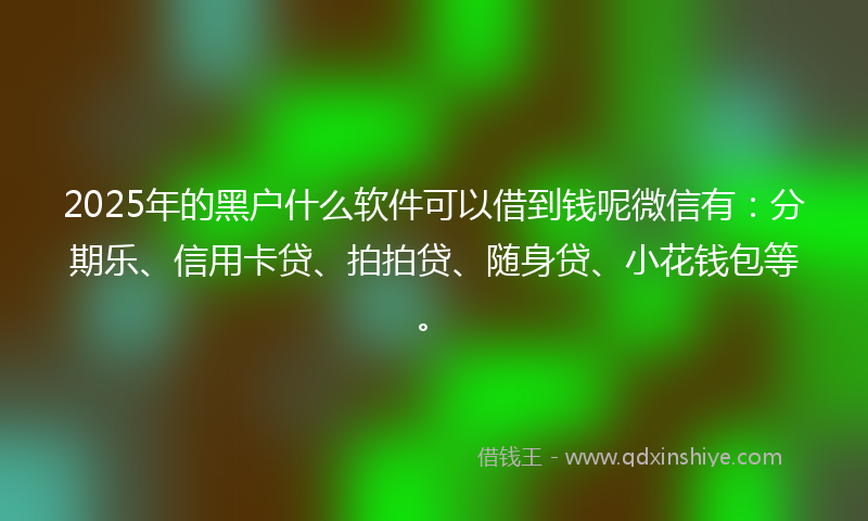 2025年的黑户什么软件可以借到钱呢微信有：分期乐、信用卡贷、拍拍贷、随身贷、小花钱包等。