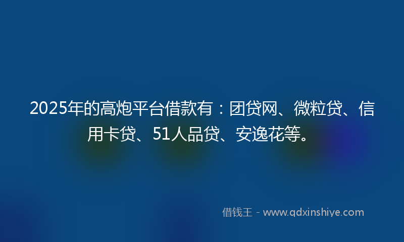 2025年的高炮平台借款有：团贷网、微粒贷、信用卡贷、51人品贷、安逸花等。