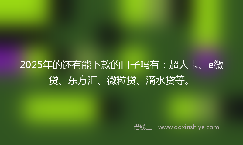 2025年的还有能下款的口子吗有：超人卡、e微贷、东方汇、微粒贷、滴水贷等。
