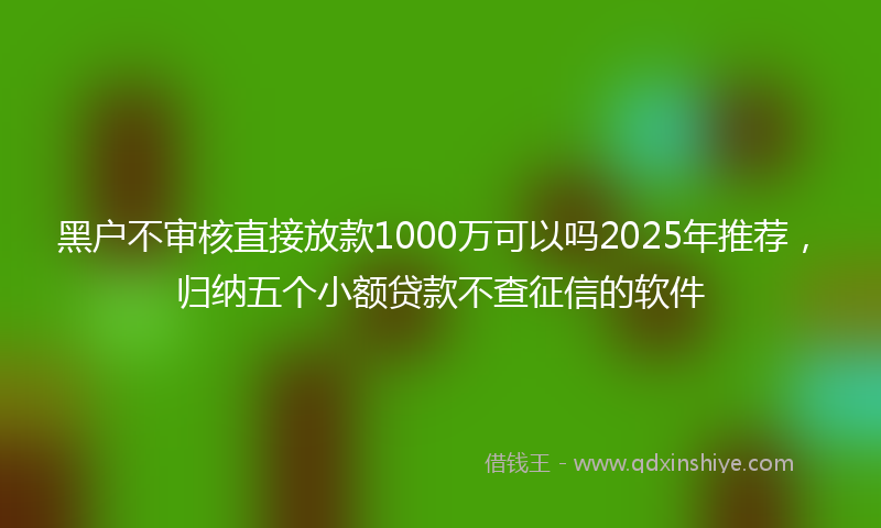 黑户不审核直接放款1000万可以吗2025年推荐，归纳五个小额贷款不查征信的软件