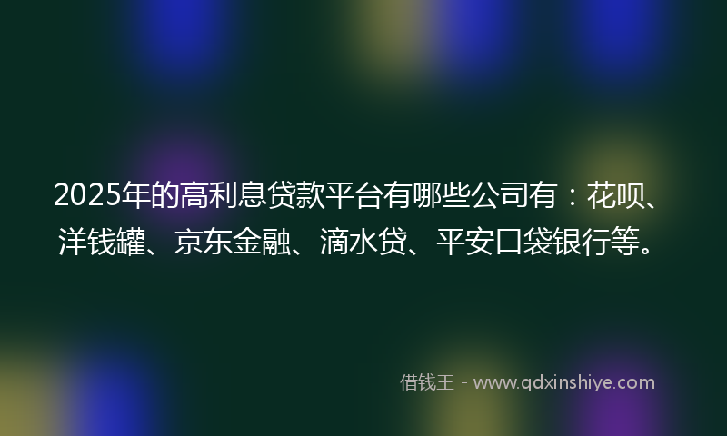 2025年的高利息贷款平台有哪些公司有：花呗、洋钱罐、京东金融、滴水贷、平安口袋银行等。