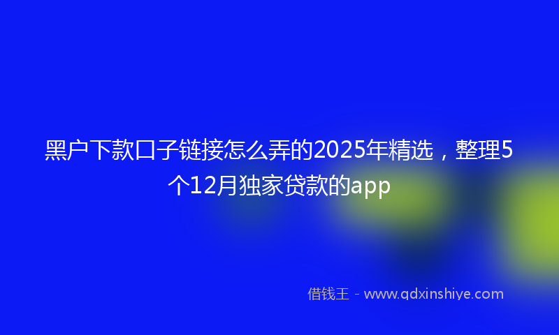 黑户下款口子链接怎么弄的2025年精选，整理5个12月独家贷款的app