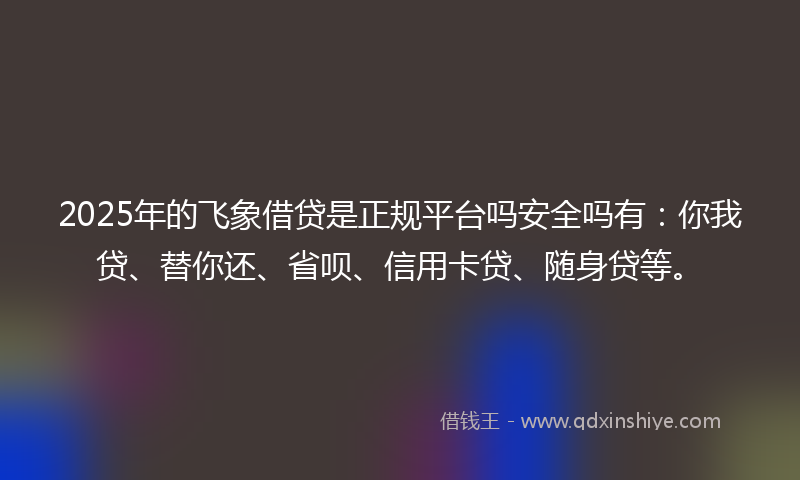 2025年的飞象借贷是正规平台吗安全吗有：你我贷、替你还、省呗、信用卡贷、随身贷等。