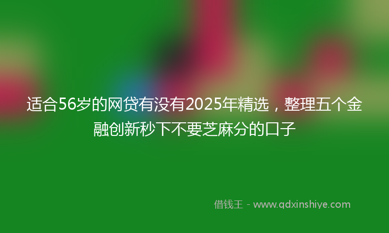适合56岁的网贷有没有2025年精选，整理五个金融创新秒下不要芝麻分的口子