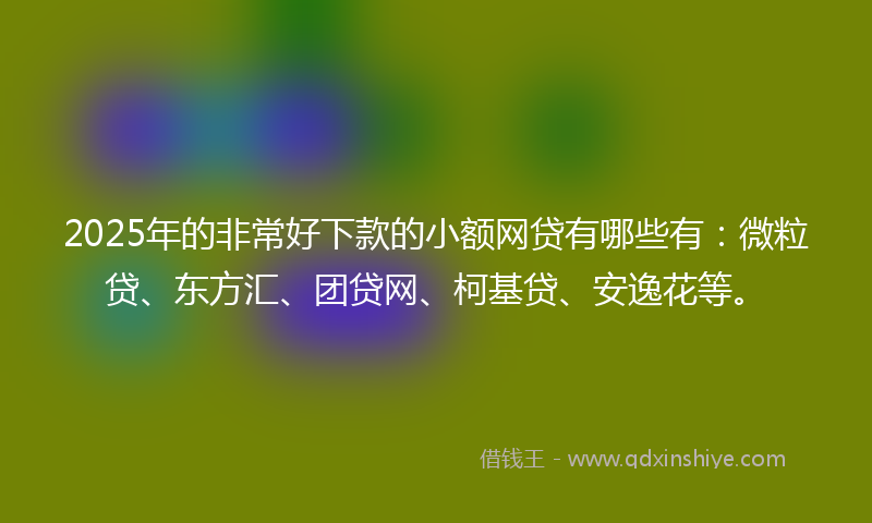 2025年的非常好下款的小额网贷有哪些有：微粒贷、东方汇、团贷网、柯基贷、安逸花等。