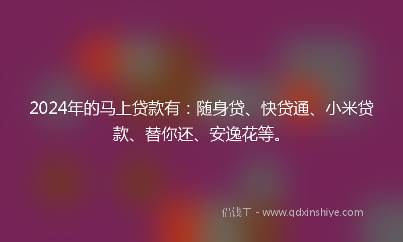 2024年的马上贷款有：随身贷、快贷通、小米贷款、替你还、安逸花等。