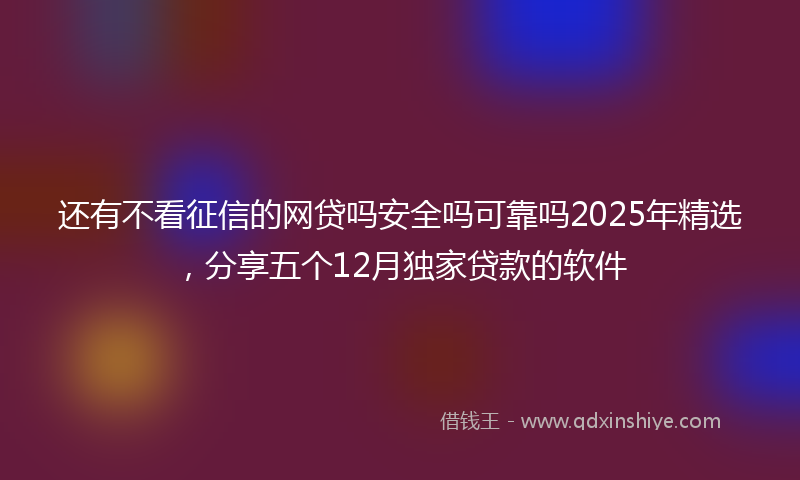 还有不看征信的网贷吗安全吗可靠吗2025年精选，分享五个12月独家贷款的软件