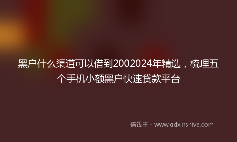 黑户什么渠道可以借到2002024年精选，梳理五个手机小额黑户快速贷款平台