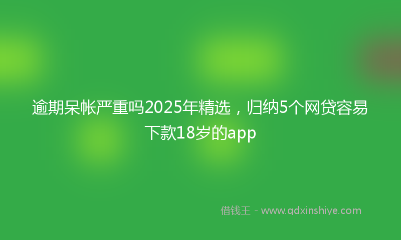 逾期呆帐严重吗2025年精选，归纳5个网贷容易下款18岁的app